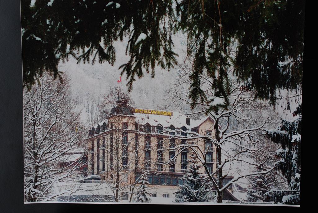Hotel Edelweiss Engelberg Ngoại thất bức ảnh